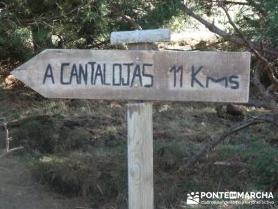 vacaciones senderismo, Parque Natural del Hayedo de Tejera Negra; excursiones organizadas